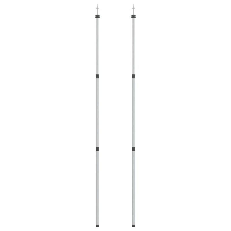 Mâts de bâche télescopiques 102 260 cm 2 pcs Aluminium