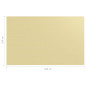 Tapis de tente 250x400 cm Beige