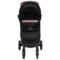 Poussette pour bébé 2 en 1 Anthracite Acier