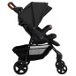 Poussette pour bébé 2 en 1 Anthracite Acier