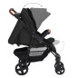 Poussette pour bébé 2 en 1 Anthracite Acier