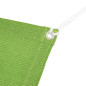 Tapis de tente vert clair 250x400 cm PEHD