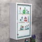 HI Armoire à pharmacie 30 x 15 x 50 cm Acier inoxydable