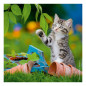 Ravensburger - Jigsaw puzzle Young Kittens, 3x49pcs. 080465