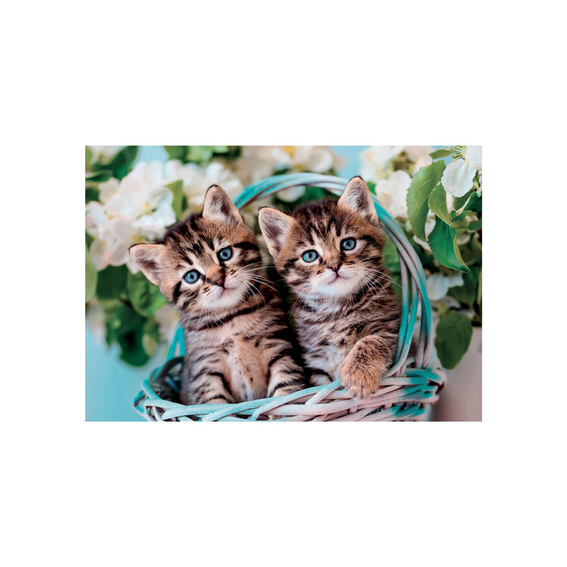 Clementoni Jigsaw Puzzle Super Color Lovely Kitty Twins, 60 pcs. 26599