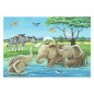 Ravensburger - Jigsaw Puzzle Young Animals From Around the World, 2x12 pcs. 50956