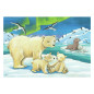 Ravensburger - Jigsaw Puzzle Young Animals From Around the World, 2x12 pcs. 50956