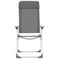 Chaises de camping pliables lot de 4 Gris Aluminium