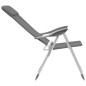 Chaises de camping pliables lot de 4 Gris Aluminium