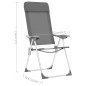 Chaises de camping pliables lot de 4 Gris Aluminium