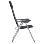 Chaise de camping lot de 2 Noir 58x69x111 cm Aluminium