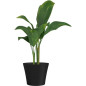 Pot de fleurs - GARDEN ID - Green Care Sense Noir-Anthracite - 30 x 27 cm - Garantie de 10 ans - 100% recyclé - Résistance UV