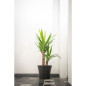 Pot de fleurs - GARDEN ID - Green Care Sense Noir-Anthracite - 30 x 27 cm - Garantie de 10 ans - 100% recyclé - Résistance UV