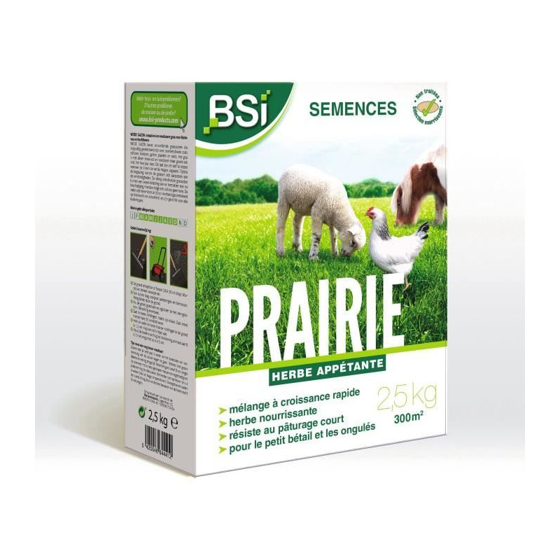 BSI - Semences de Gazon - Prairie - Haute qualité - Grande Surface - Jusqu'a 375m² - 7,5Kg