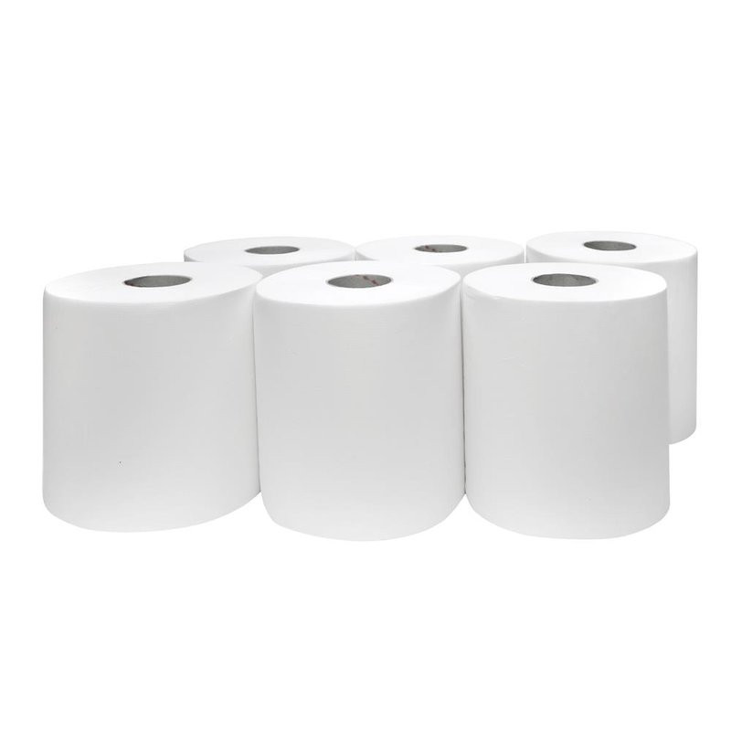 Bobines pure ouate blanc 2 plis 24x30 colis de 2 4kg N350235.4LP02