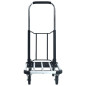 Chariot de transport pliable 150 kg Aluminium Argenté 