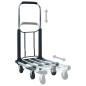 Chariot de transport pliable 150 kg Aluminium Argenté 