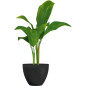 Pot de fleurs - GARDEN ID - Green Care Impact Noir-Anth - 50 x 41 cm - Garanti 10ans - 100% recyclé - Résistant UV/gel