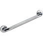 RIDDER Barre d appui de sécurité 45 cm Inox chromé A0014511