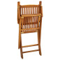 Chaises pliables d extérieur lot de 2 Bois d acacia solide