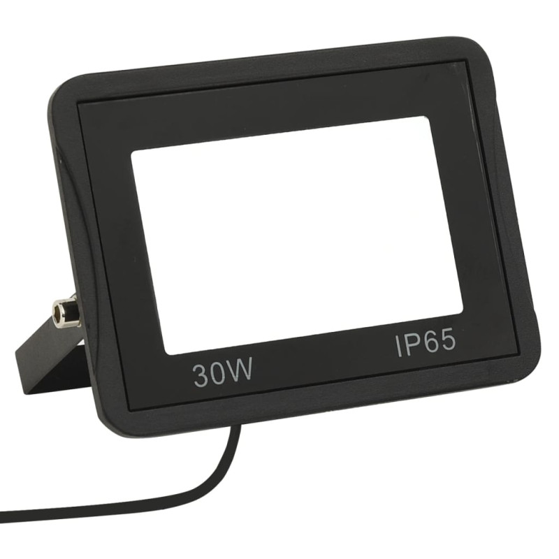 Projecteur à LED 30 W Blanc froid 