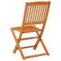 Chaises de jardin pliables lot de 2 Bois d eucalyptus massif