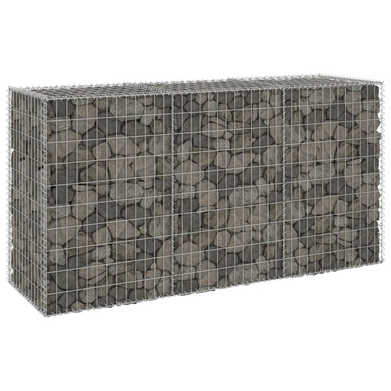 Mur en gabion avec couvercles Acier galvanisé 200x60x100 cm