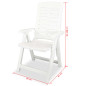 lot de 2 Chaises inclinables de jardin Plastique Blanc