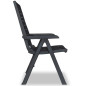 Chaises inclinables de jardin lot de 2 Plastique Anthracite