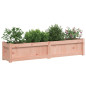 Jardinières 2 pcs bois massif douglas