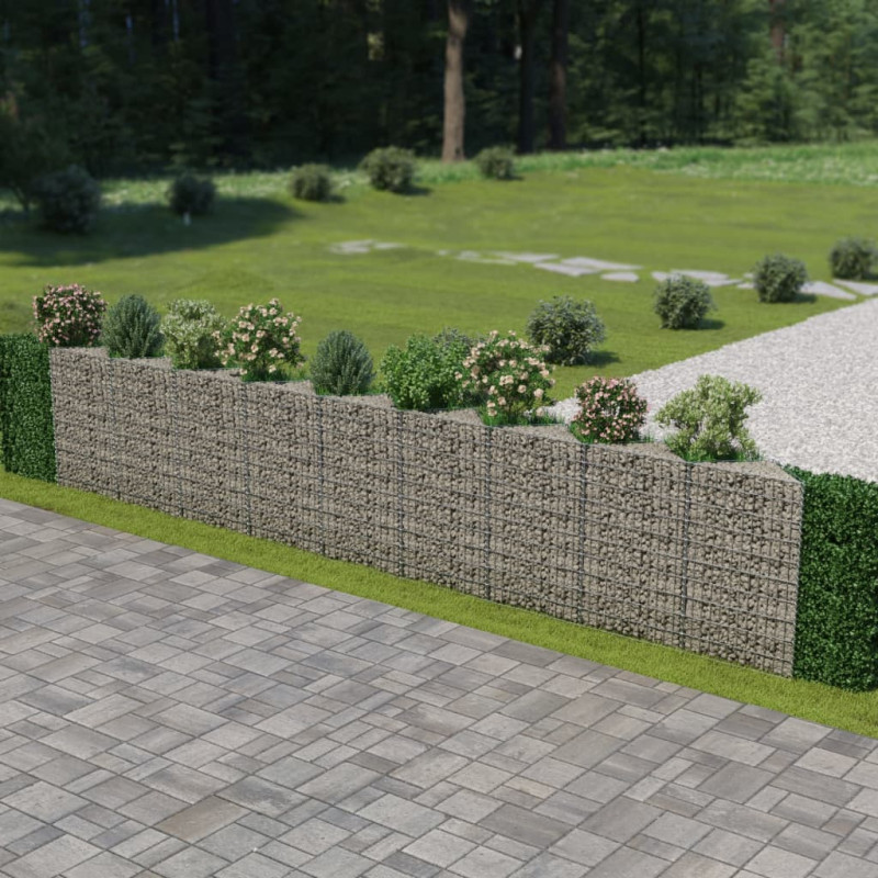 Mur de gabion Acier galvanisé 630x30x100 cm