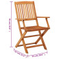 Chaises de jardin pliables lot de 2 Bois d eucalyptus massif