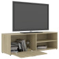 Meuble TV Chêne sonoma 120x34x37 cm Bois d’ingénierie