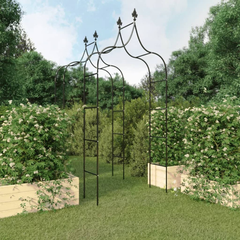 Arches de jardin 2 pcs Noir 120x38x260 cm Acier