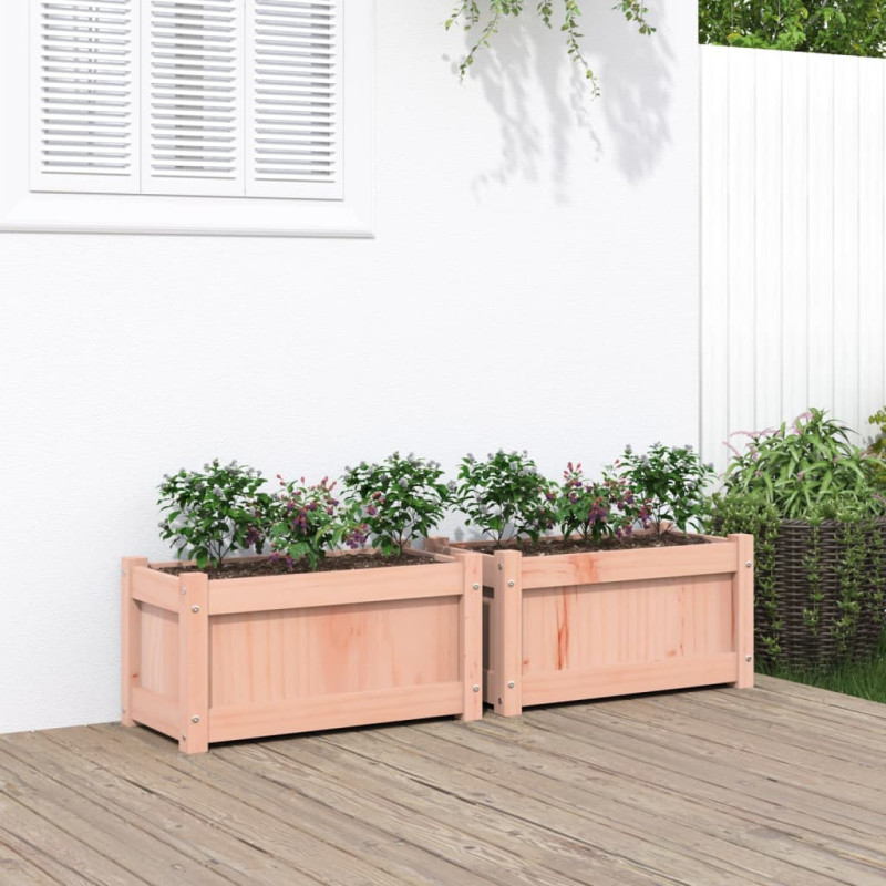 Jardinières 2 pcs bois massif douglas