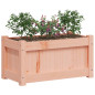 Jardinières 2 pcs bois massif douglas