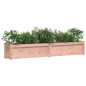 Jardinières 2 pcs bois massif douglas