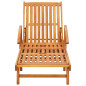 Chaises longues lot de 2 Bois d acacia solide