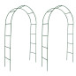 Arche de jardin 2 pcs pour plantes grimpantes 