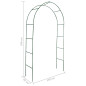 Arche de jardin 2 pcs pour plantes grimpantes 