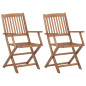 Chaises pliables d extérieur lot de 2 Bois d acacia solide