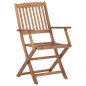 Chaises pliables d extérieur lot de 2 Bois d acacia solide