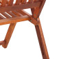 Chaises pliables de jardin lot de 2 Bois solide d acacia Marron