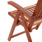 Chaises pliables de jardin lot de 2 Bois solide d acacia Marron