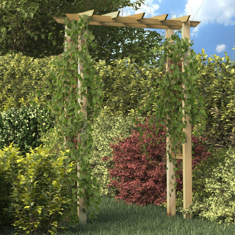 Arche pour rosiers 150 x 60 x 204 cm bois imprégné