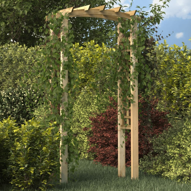 Arche en treillis 110x60x210 cm Bois de pin massif imprégné