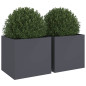 Jardinières 2 pcs anthracite 49x47x46 cm acier