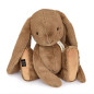 Peluche Histoire d Ours Le Lapin Noisette