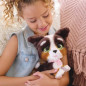 Jouet interactif - FURREAL FRIENDS - Chiot Grand Marcheur 23 cm - Animal interactif avec laisse