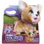 Jouet interactif - FURREAL FRIENDS - Mon Copain qui Fait Popo 23 cm - Animal interactif avec laisse, friandises et pelle